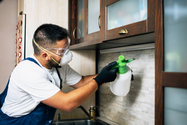 Best Pest Removal Services  in West Menlo Park, CA