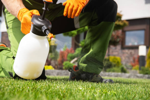 Best Mosquito Control Services  in West Menlo Park, CA