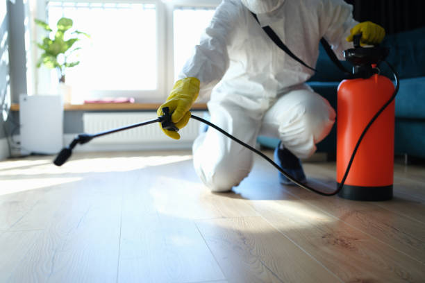 Best Flea Control Services  in West Menlo Park, CA