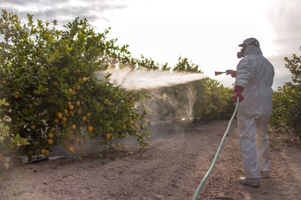 Best Local Pest Control Services  in West Menlo Park, CA