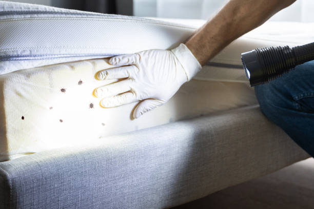 Best Wasp Removal Services  in West Menlo Park, CA