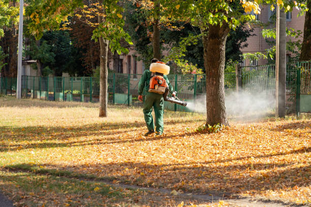 Best Spider Control Near Me  in West Menlo Park, CA