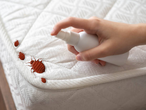 Best Insect Control  in West Menlo Park, CA
