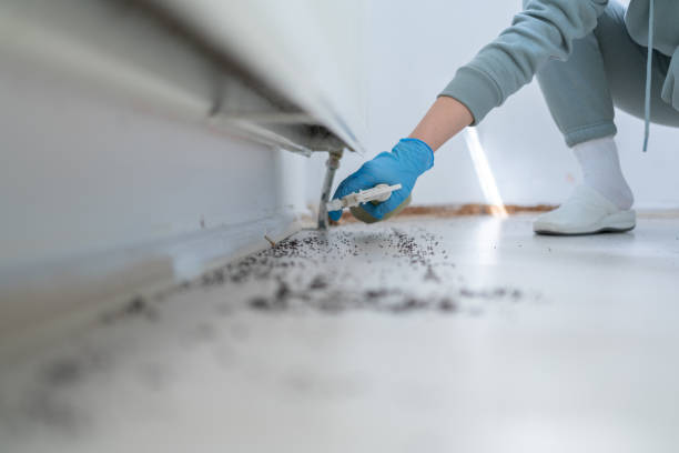 Best Wildlife Control Services  in West Menlo Park, CA